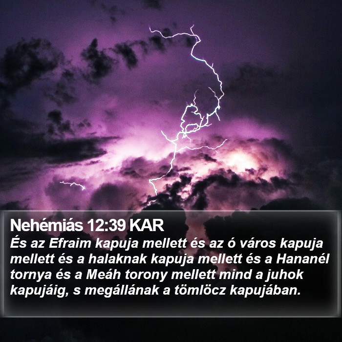 Nehémiás 12:39 KAR Bible Study