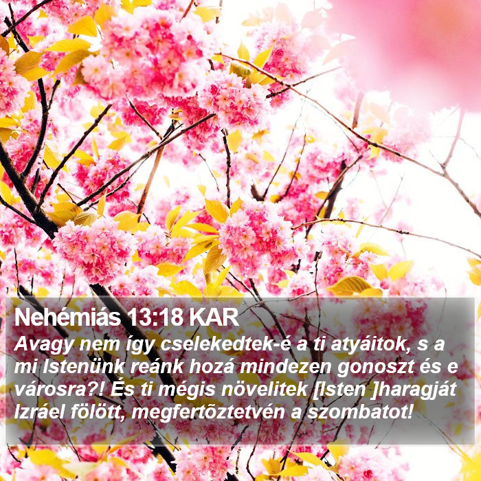 Nehémiás 13:18 KAR Bible Study