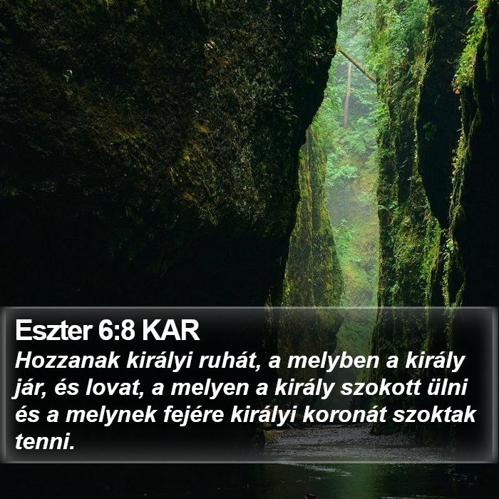 Eszter 6:8 KAR Bible Study