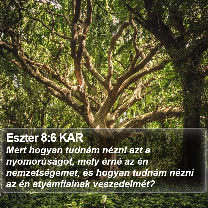 Eszter 8:6 KAR Bible Study