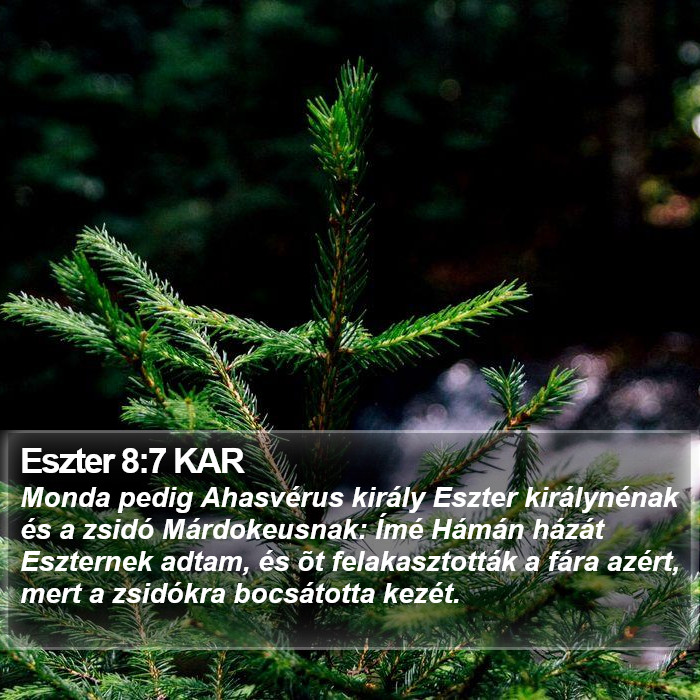 Eszter 8:7 KAR Bible Study