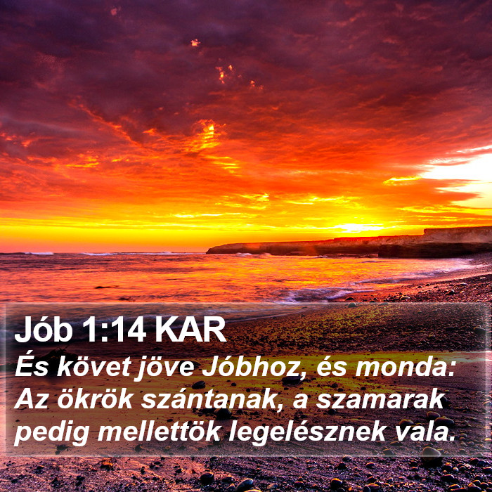 Jób 1:14 KAR Bible Study