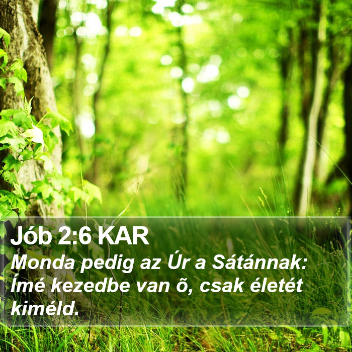 Jób 2:6 KAR Bible Study