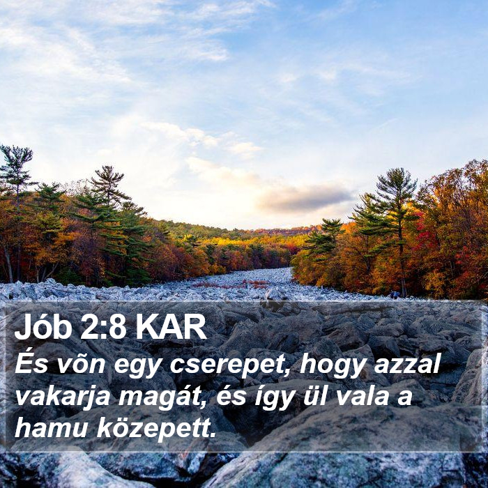 Jób 2:8 KAR Bible Study