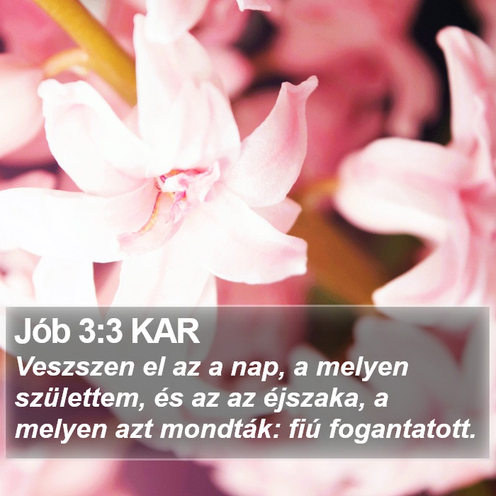 Jób 3:3 KAR Bible Study