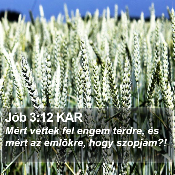 Jób 3:12 KAR Bible Study