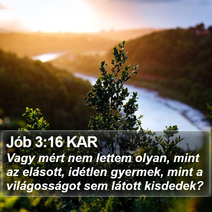 Jób 3:16 KAR Bible Study