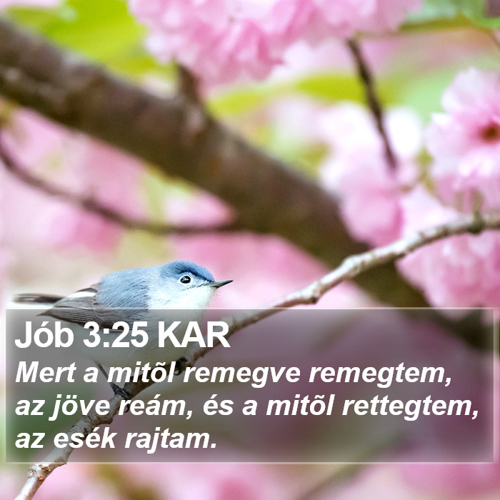 Jób 3:25 KAR Bible Study