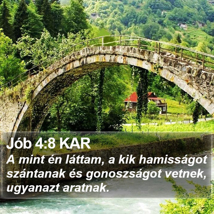 Jób 4:8 KAR Bible Study