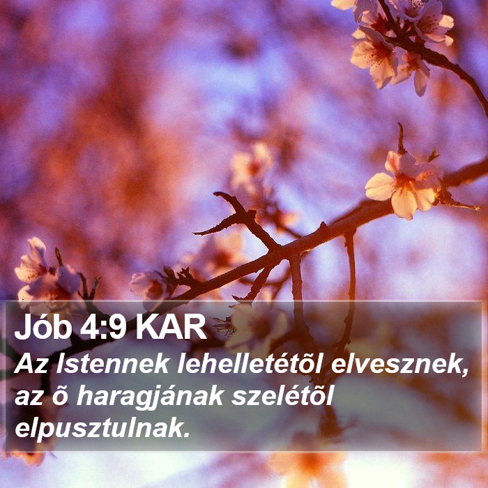 Jób 4:9 KAR Bible Study