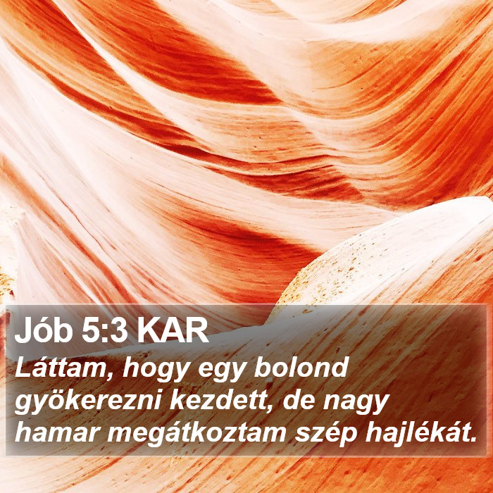 Jób 5:3 KAR Bible Study