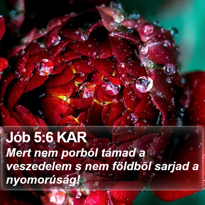 Jób 5:6 KAR Bible Study