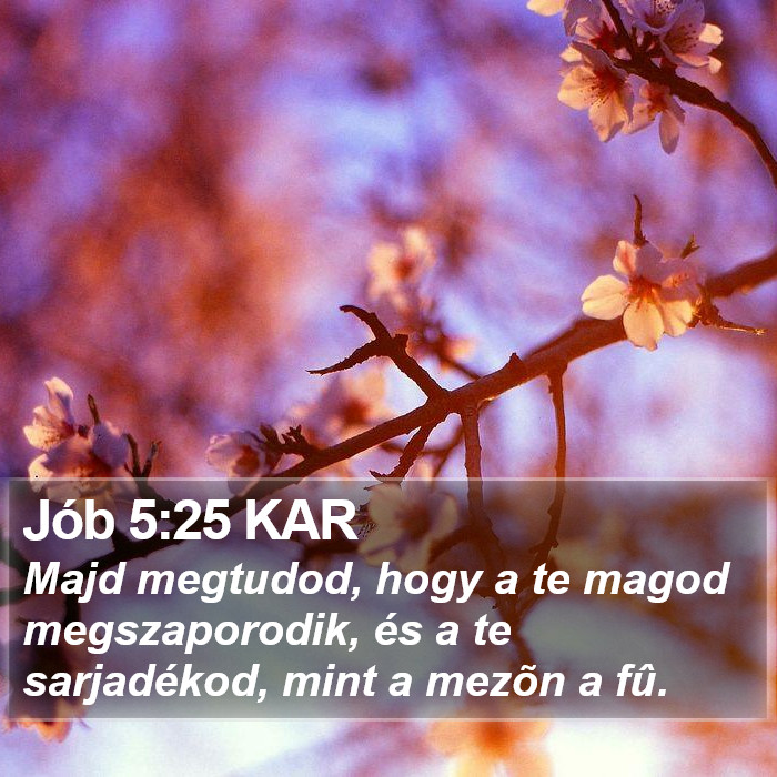 Jób 5:25 KAR Bible Study