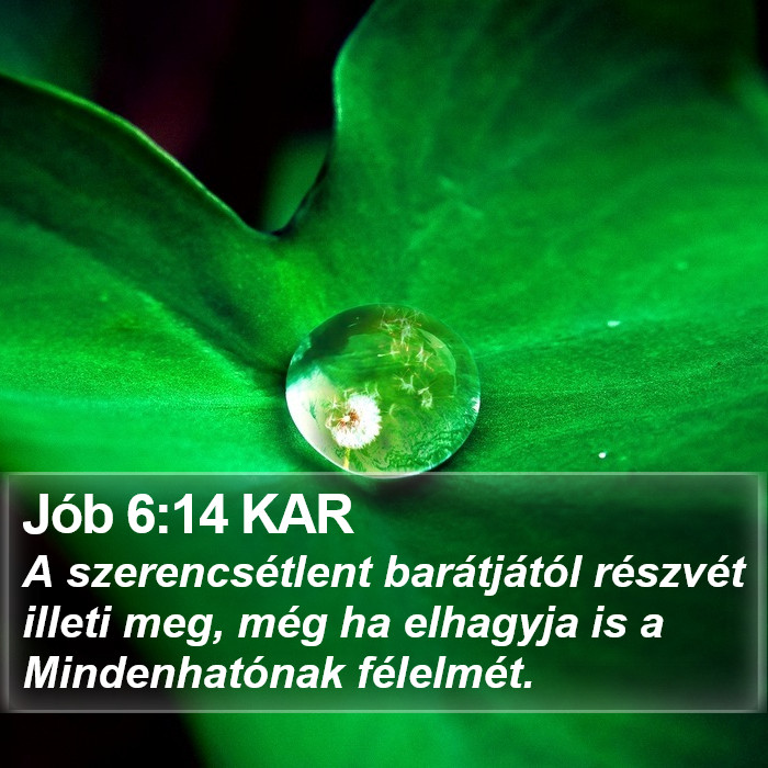 Jób 6:14 KAR Bible Study