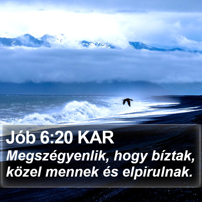 Jób 6:20 KAR Bible Study