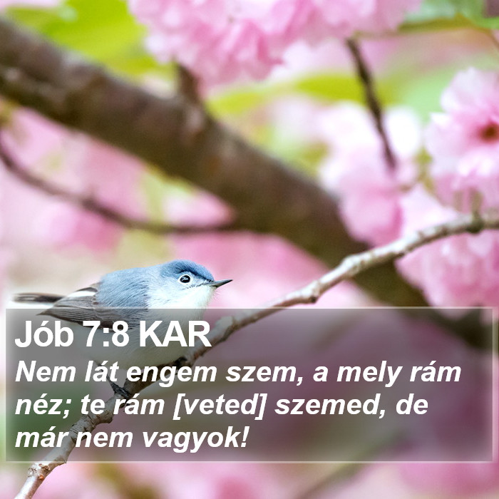 Jób 7:8 KAR Bible Study