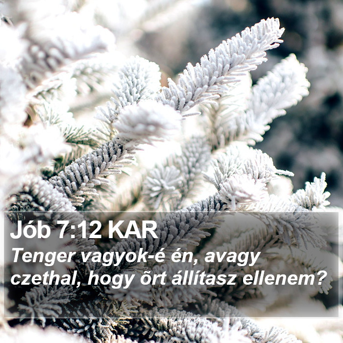 Jób 7:12 KAR Bible Study