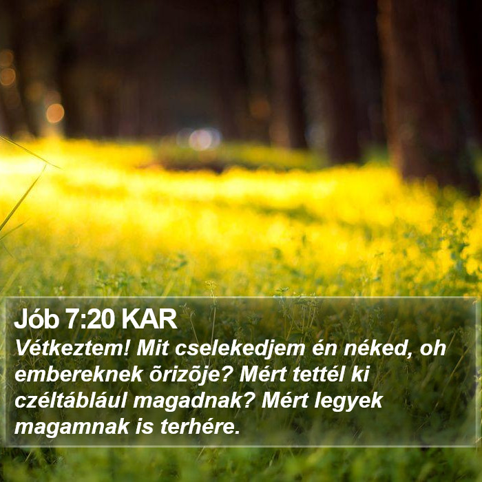 Jób 7:20 KAR Bible Study