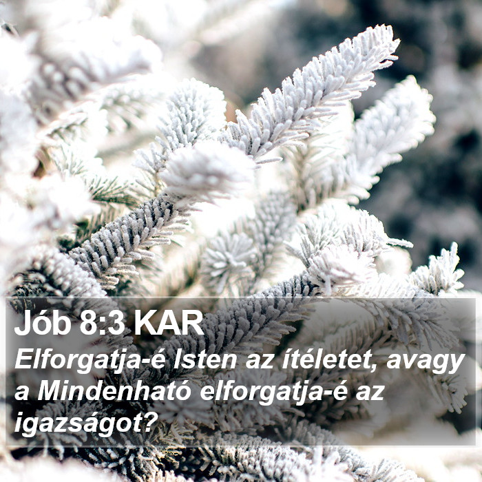 Jób 8:3 KAR Bible Study