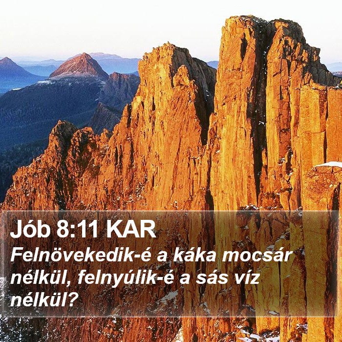 Jób 8:11 KAR Bible Study