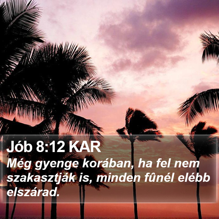 Jób 8:12 KAR Bible Study