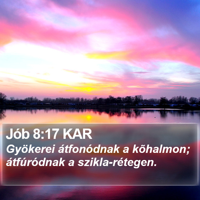 Jób 8:17 KAR Bible Study