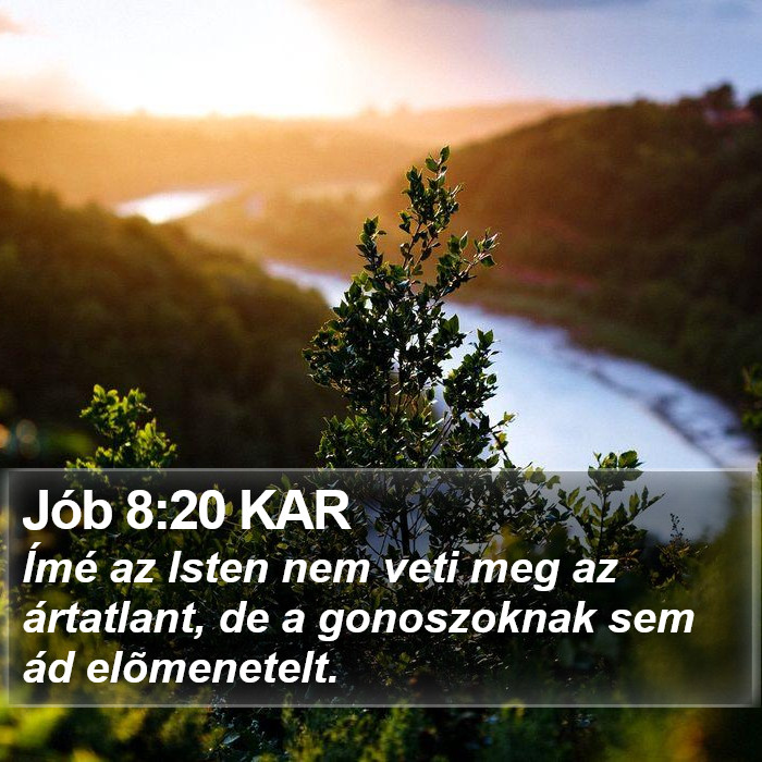 Jób 8:20 KAR Bible Study