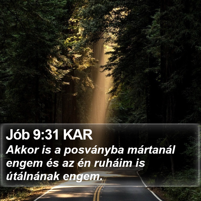 Jób 9:31 KAR Bible Study