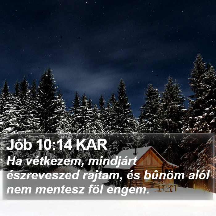 Jób 10:14 KAR Bible Study