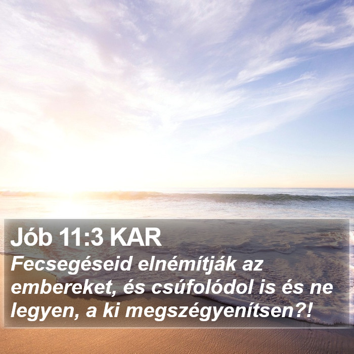 Jób 11:3 KAR Bible Study