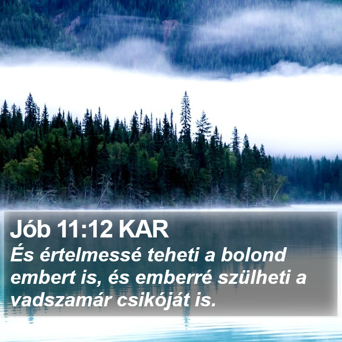 Jób 11:12 KAR Bible Study