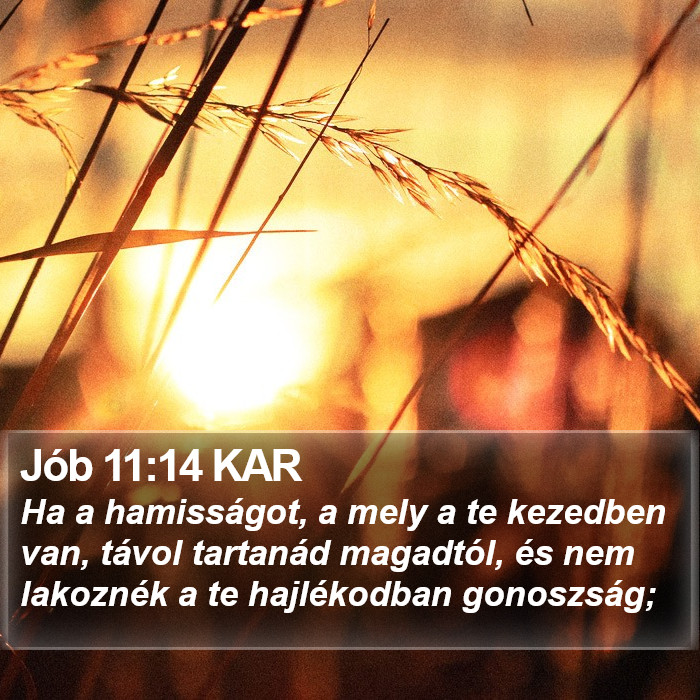 Jób 11:14 KAR Bible Study