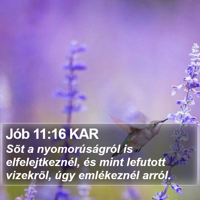 Jób 11:16 KAR Bible Study