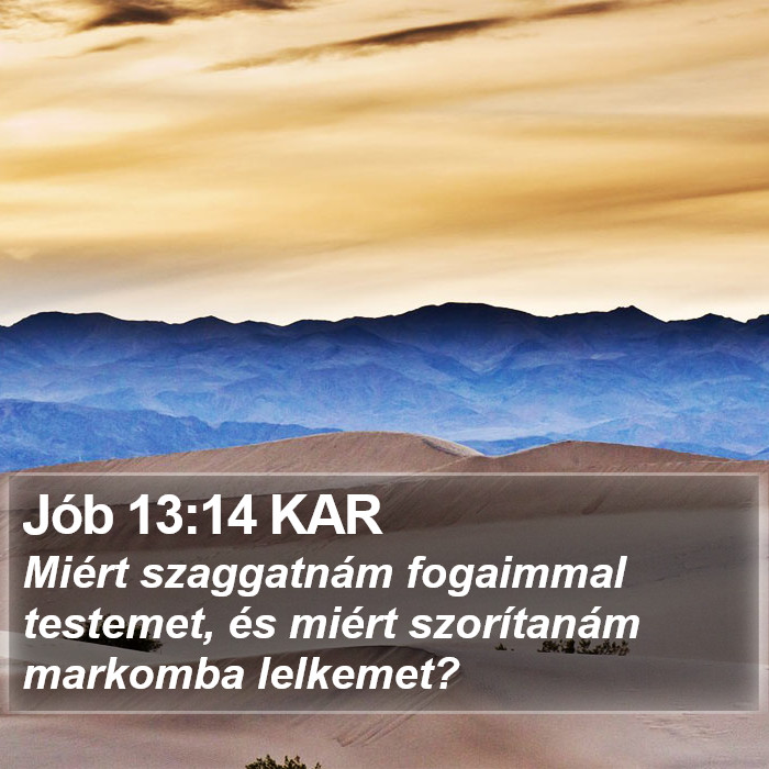 Jób 13:14 KAR Bible Study