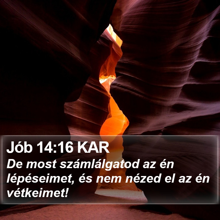 Jób 14:16 KAR Bible Study