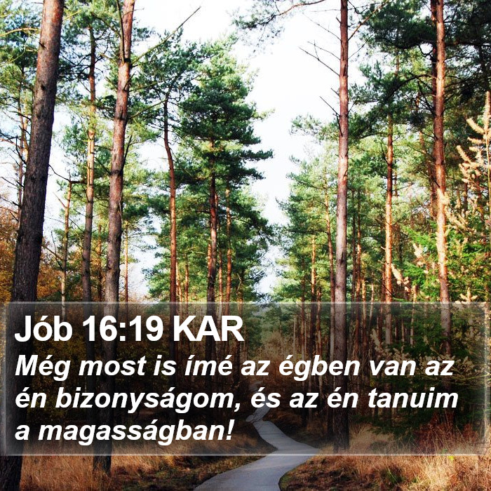 Jób 16:19 KAR Bible Study