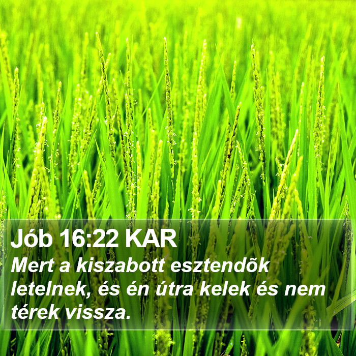 Jób 16:22 KAR Bible Study