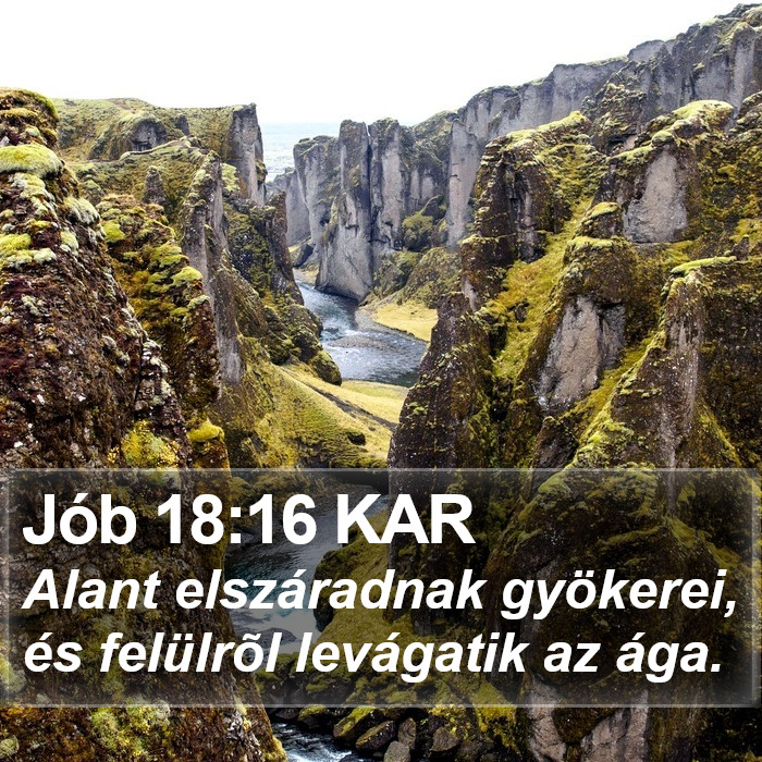 Jób 18:16 KAR Bible Study