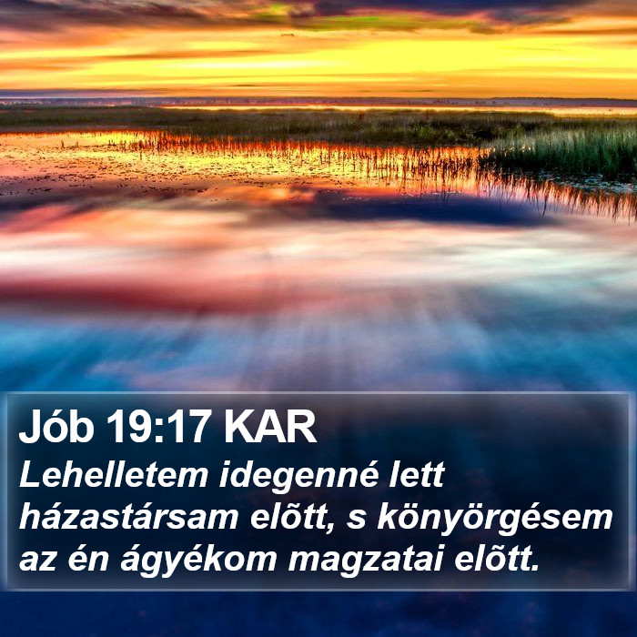 Jób 19:17 KAR Bible Study