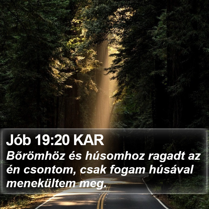 Jób 19:20 KAR Bible Study