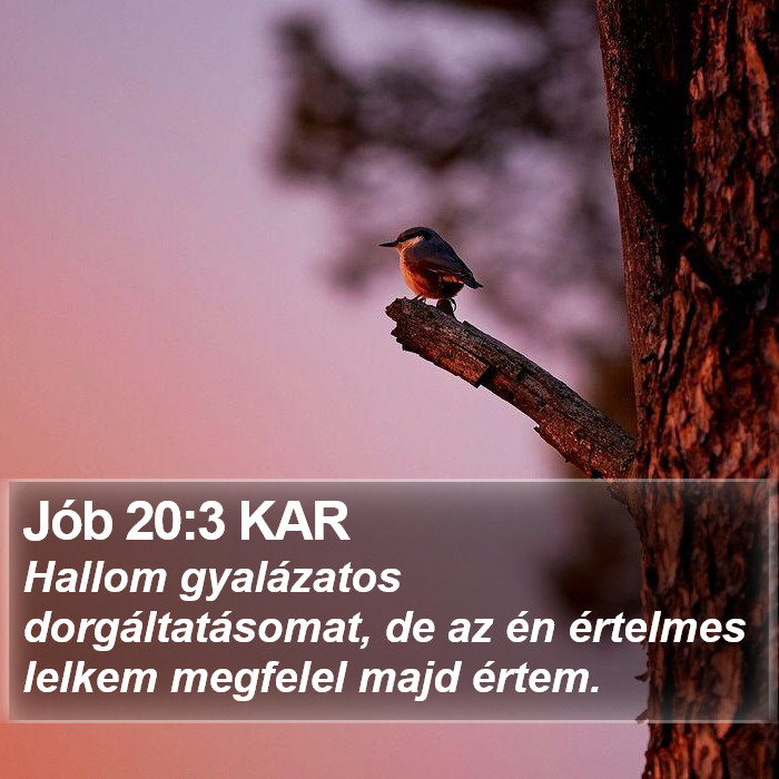 Jób 20:3 KAR Bible Study