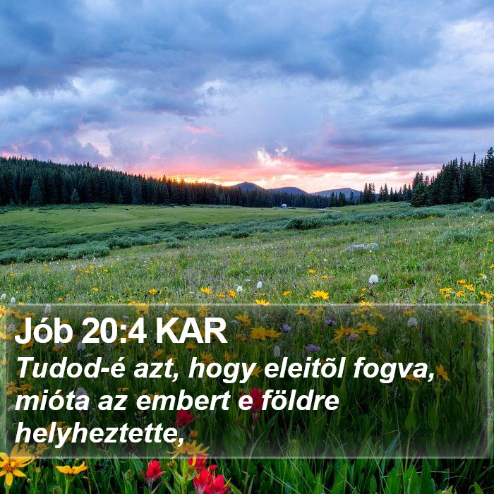 Jób 20:4 KAR Bible Study