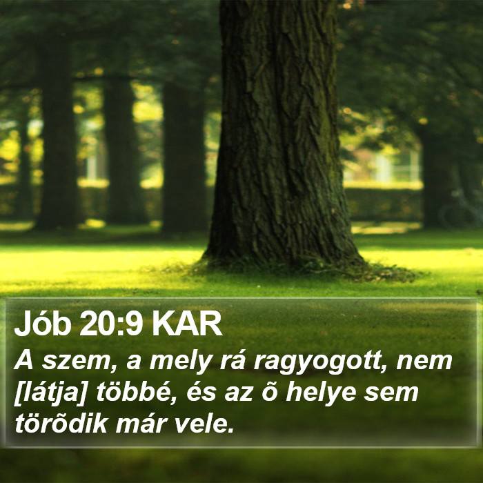 Jób 20:9 KAR Bible Study