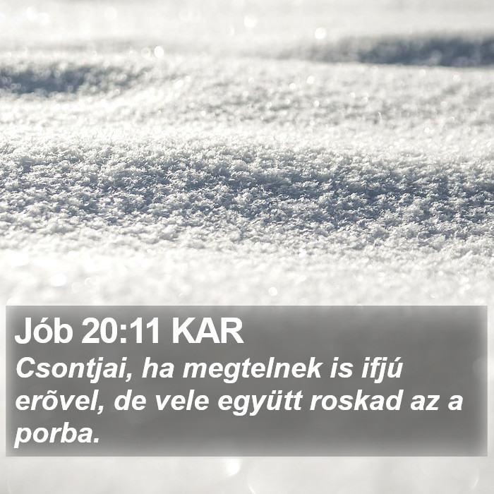 Jób 20:11 KAR Bible Study