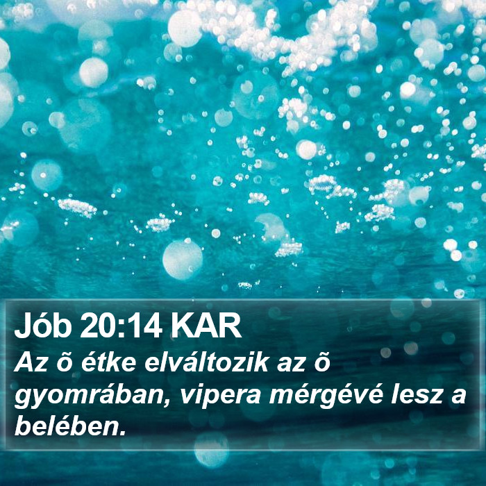 Jób 20:14 KAR Bible Study