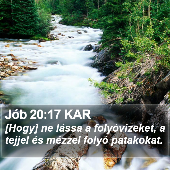 Jób 20:17 KAR Bible Study