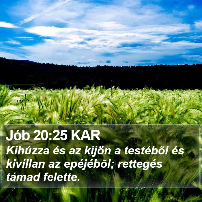 Jób 20:25 KAR Bible Study