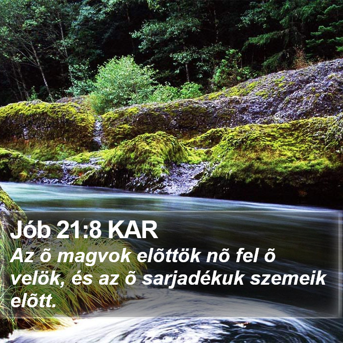 Jób 21:8 KAR Bible Study