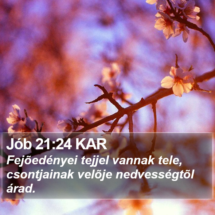 Jób 21:24 KAR Bible Study