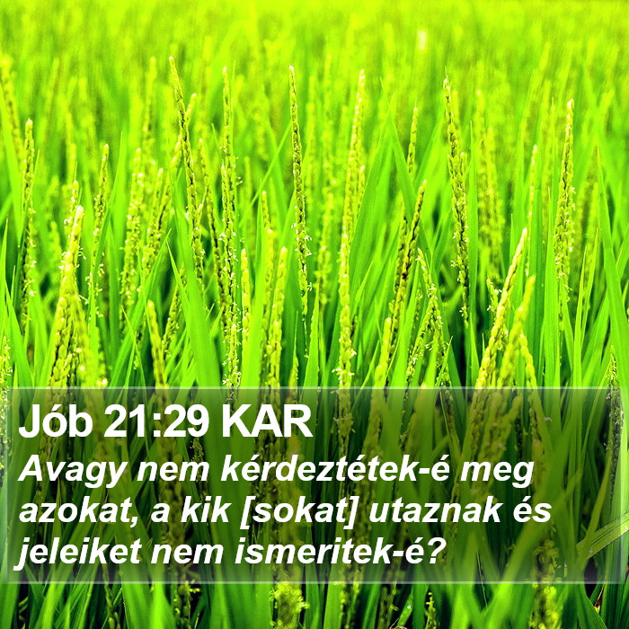 Jób 21:29 KAR Bible Study